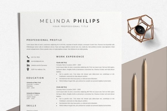 Download Professional Resume Template Word - Premium Bundle